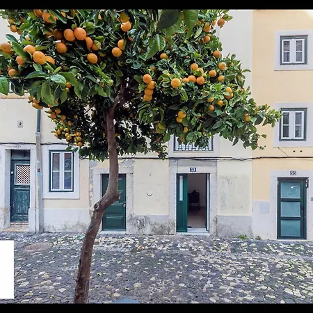 Home4u - Mouraria Typical Neighborhood *